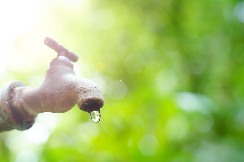 Easy ways to save money on your water bill